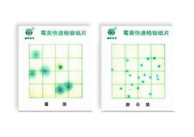 霉菌、酵母菌測試片